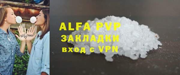 прущие грибы Пролетарск