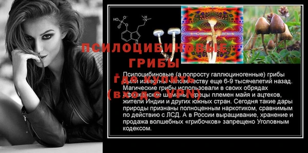 спайс Алексин