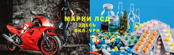 ПСИЛОЦИБИНОВЫЕ ГРИБЫ Алексеевка
