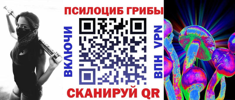 купить наркоту  Куровское  Псилоцибиновые грибы Psilocybe 